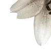🪷 Эмодзи «Random #random» для Telegram