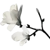 🤩 Эмодзи «Random #random» для Telegram