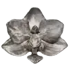 🦢 Эмодзи «Random #random» для Telegram