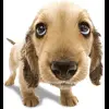 Эмодзи Random #random для Telegram — скачать