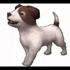 🤩 Эмодзи «Random #random» для Telegram