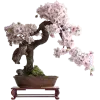 🤩 Эмодзи «Random #random» для Telegram