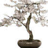 🤩 Эмодзи «Random #random» для Telegram