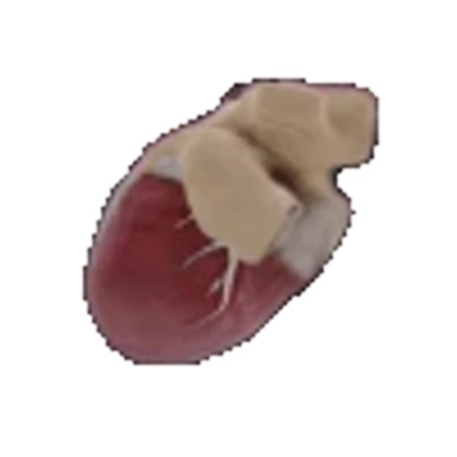 🫀 Эмодзи «random» для Telegram
