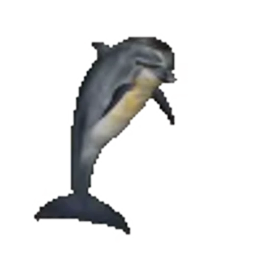 🐬 Эмодзи «random» для Telegram
