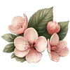 ⭐ Эмодзи «Ёжик» для Telegram