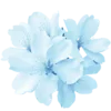 🤩 Эмодзи «⠀⠀ ⠀ Random blue» для Telegram