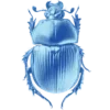 🤩 Эмодзи «⠀⠀ ⠀ Random blue» для Telegram