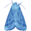 🤩 Эмодзи «⠀⠀ ⠀ Random blue» для Telegram