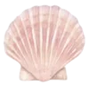 🐚 Эмодзи «Заказать Эмоджи» для Telegram