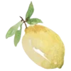 🍋 Эмодзи «Заказать Эмоджи» для Telegram