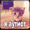 🤩 Эмодзи «Random #status #random #girl» для Telegram