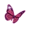 🦋 Эмодзи «Набор эмоджи с розовым рандомом» для Telegram
