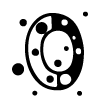 🔠 Эмодзи «#adaptive #font #random» для Telegram