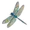 🦋 Эмодзи «Random Drawings» для Telegram