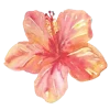🌸 Эмодзи «Random Drawings» для Telegram