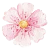 🌸 Эмодзи «Random Drawings» для Telegram