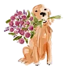 💐 Эмодзи «Random Drawings» для Telegram