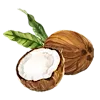 🥥 Эмодзи «Random Drawings» для Telegram