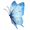 🦋 Эмодзи «Random Drawings Pt2» для Telegram