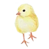 🐥 Эмодзи «Random Drawings Pt2» для Telegram