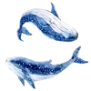 🐋 Эмодзи «Random Drawings Pt2» для Telegram