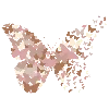 Эмодзи randomshiiii для Telegram — скачать