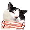 🤩 Эмодзи «random ₇» для Telegram