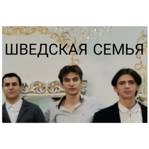 🇸🇪 Стикер «.0» для Telegram