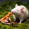🐸 Эмодзи «Rat» для Telegram