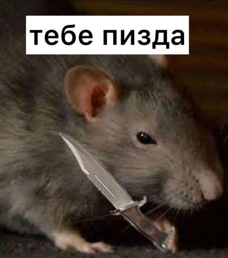 💀 Стикер «Крысиноэ» для Telegram