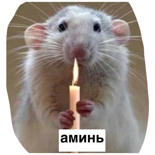 🕯 Стикер «Крысиноэ» для Telegram