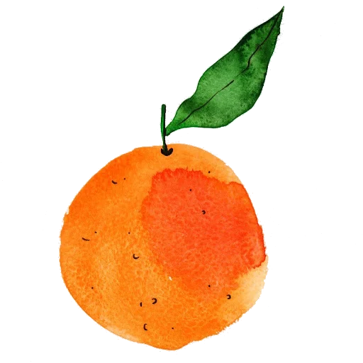 🍊 Стикер «rdwdtr» для Telegram