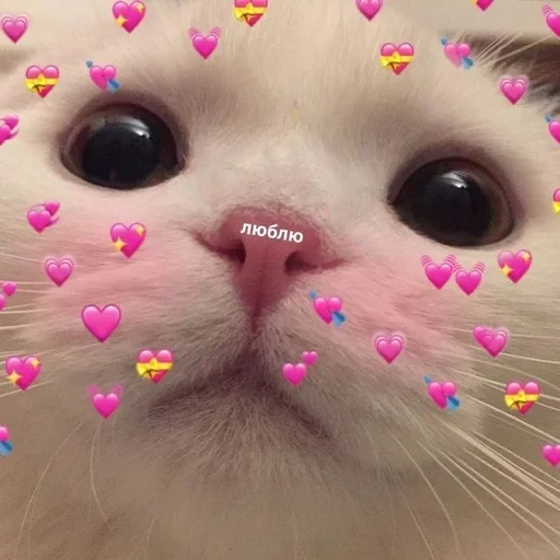 💗 Стикер «Uwu» для Telegram
