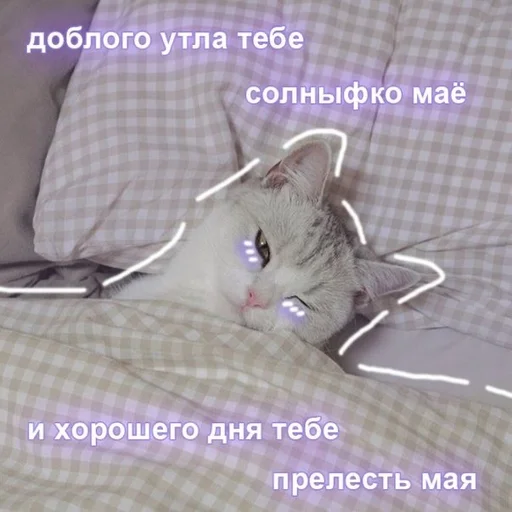 💜 Стикер «Uwu» для Telegram