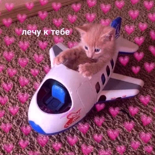✈️ Стикер «Uwu» для Telegram