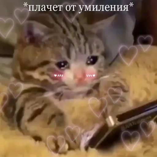 🥺 Стикер «Uwu» для Telegram