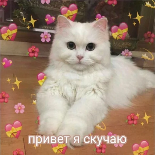 🥺 Стикер «Uwu» для Telegram