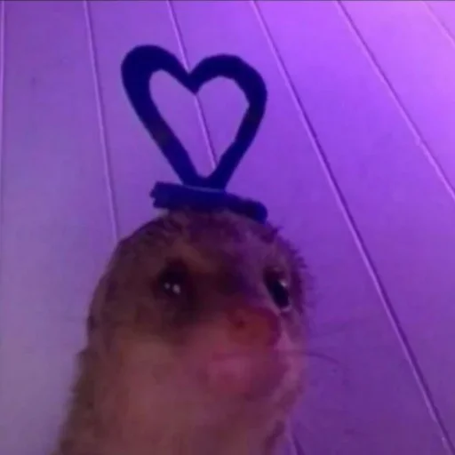 💜 Стикер «Uwu» для Telegram
