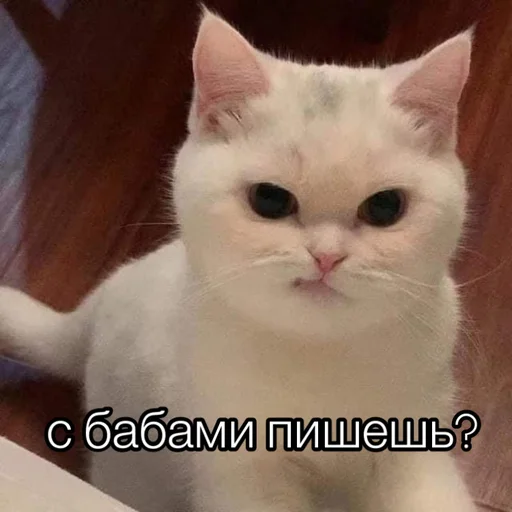 😑 Стикер «Uwu» для Telegram