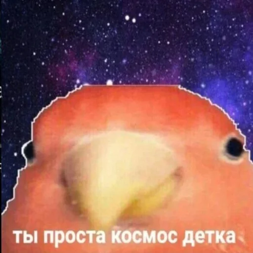 🚀 Стикер «Uwu» для Telegram