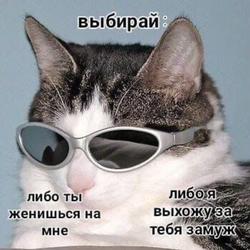 💍 Стикер «Uwu» для Telegram