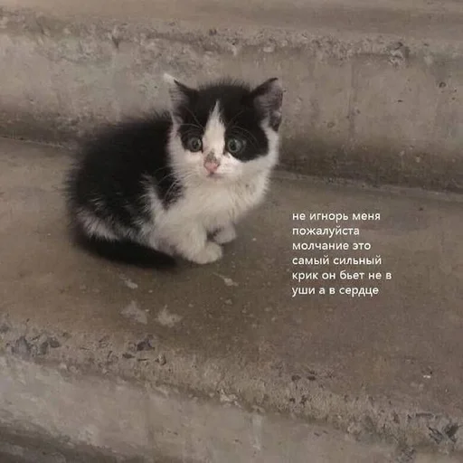 😣 Стикер «Uwu» для Telegram