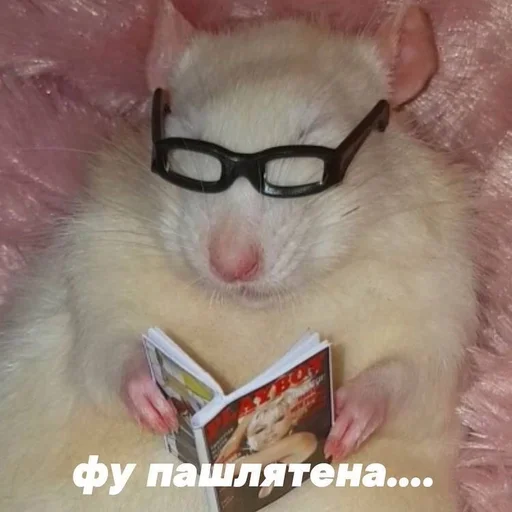 😑 Стикер «Uwu» для Telegram