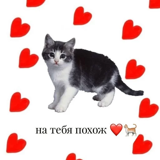 🥺 Стикер «Uwu» для Telegram