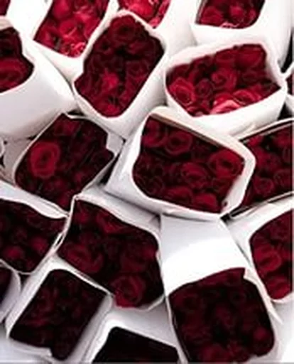 ♥ Стикер «RED Colour» для Telegram