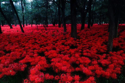 ♥ Стикер «RED Colour» для Telegram