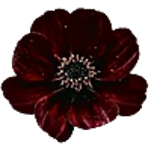 🌺 Эмодзи «red&black» для Telegram