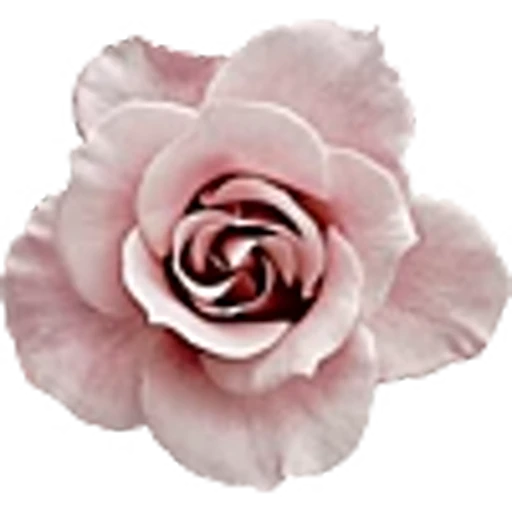 🌹 Эмодзи «red&black» для Telegram