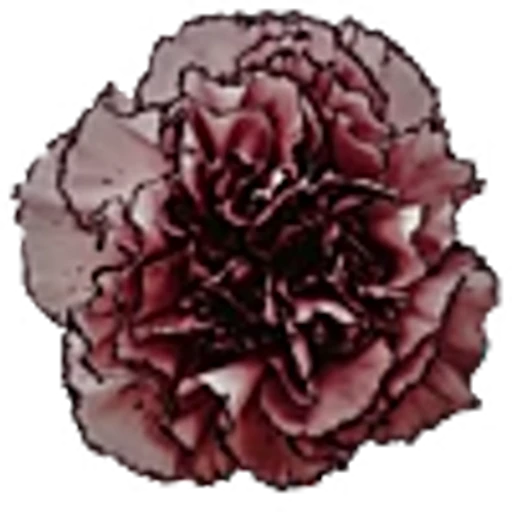 🌺 Эмодзи «red&black» для Telegram